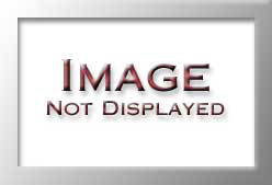 ITL0729